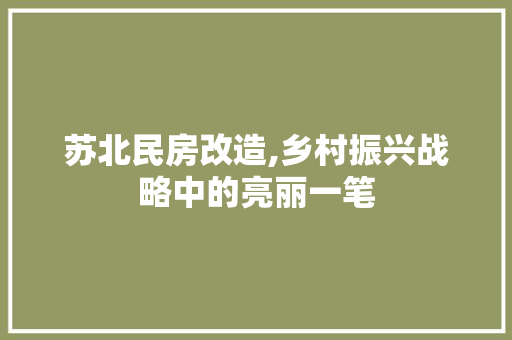 苏北民房改造,乡村振兴战略中的亮丽一笔