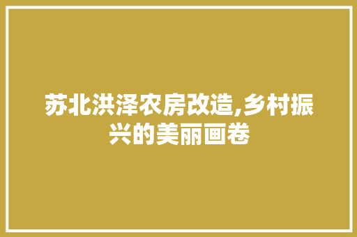 苏北洪泽农房改造,乡村振兴的美丽画卷