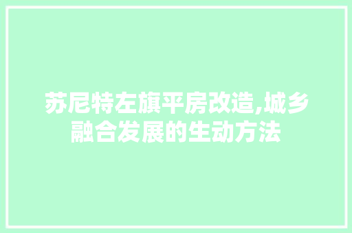 苏尼特左旗平房改造,城乡融合发展的生动方法