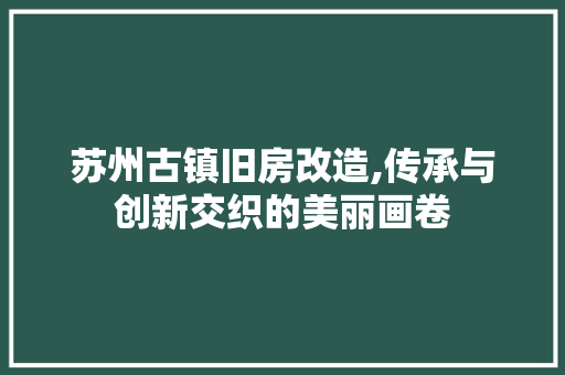 苏州古镇旧房改造,传承与创新交织的美丽画卷