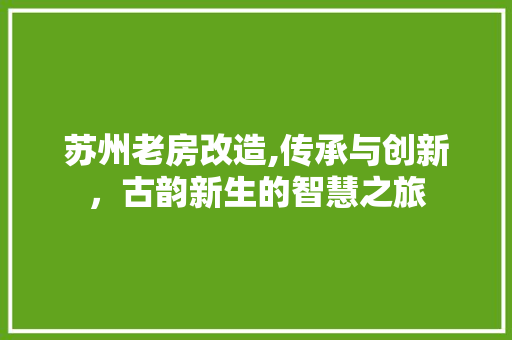 苏州老房改造,传承与创新，古韵新生的智慧之旅 综合便民