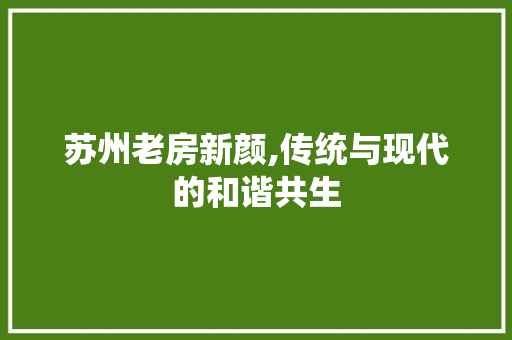 苏州老房新颜,传统与现代的和谐共生 综合便民