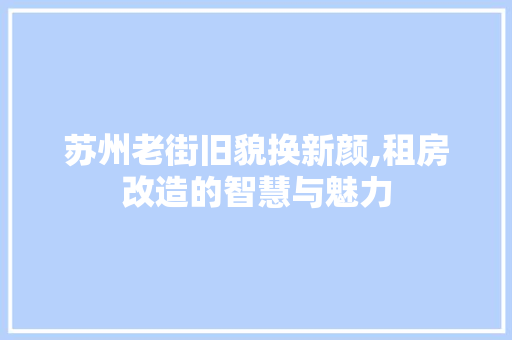 苏州老街旧貌换新颜,租房改造的智慧与魅力