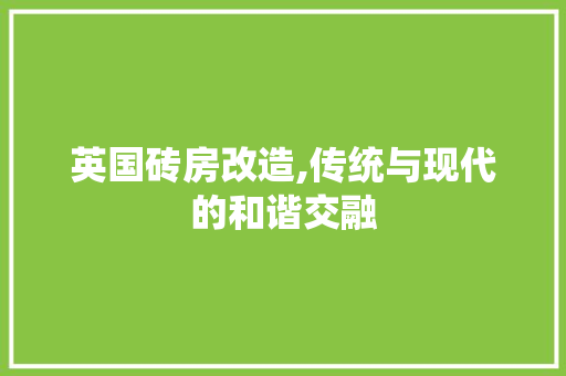 英国砖房改造,传统与现代的和谐交融 家电维修