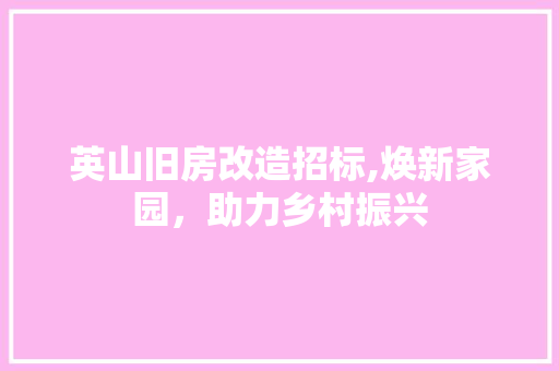 英山旧房改造招标,焕新家园，助力乡村振兴