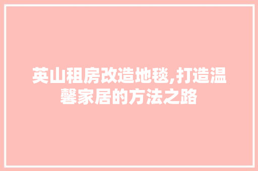 英山租房改造地毯,打造温馨家居的方法之路 厨房维修