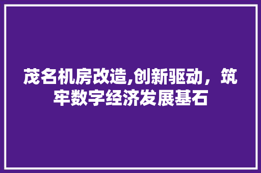 茂名机房改造,创新驱动，筑牢数字经济发展基石