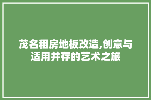 茂名租房地板改造,创意与适用并存的艺术之旅