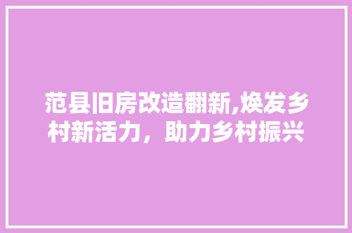 范县旧房改造翻新,焕发乡村新活力，助力乡村振兴