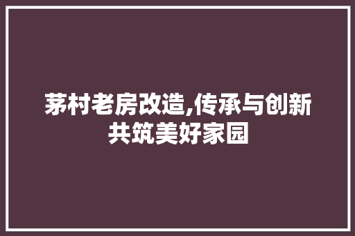 茅村老房改造,传承与创新共筑美好家园