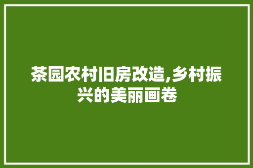茶园农村旧房改造,乡村振兴的美丽画卷