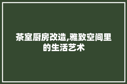 茶室厨房改造,雅致空间里的生活艺术 家电维修