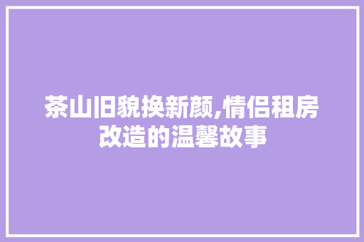 茶山旧貌换新颜,情侣租房改造的温馨故事