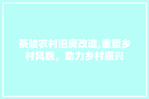 茶陵农村旧房改造,重塑乡村风貌，助力乡村振兴