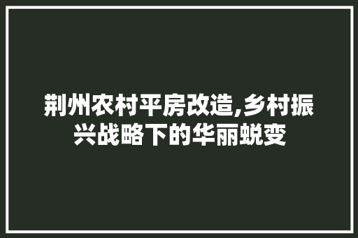 荆州农村平房改造,乡村振兴战略下的华丽蜕变