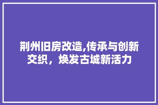 荆州旧房改造,传承与创新交织，焕发古城新活力