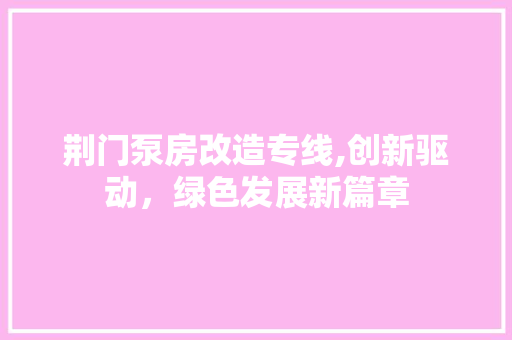 荆门泵房改造专线,创新驱动，绿色发展新篇章