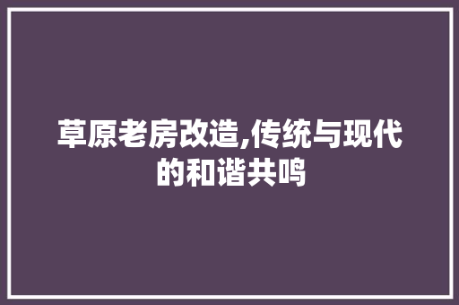 草原老房改造,传统与现代的和谐共鸣 厨房维修