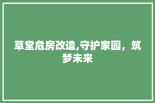 草堂危房改造,守护家园，筑梦未来