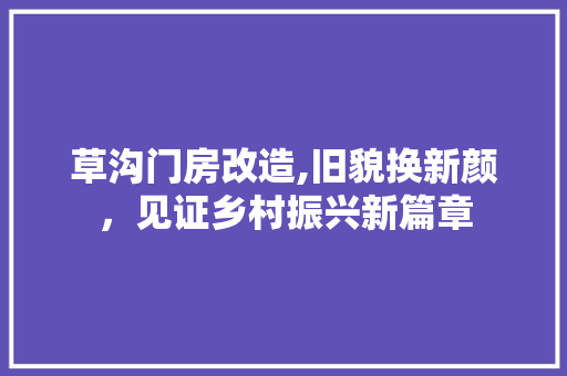 草沟门房改造,旧貌换新颜，见证乡村振兴新篇章
