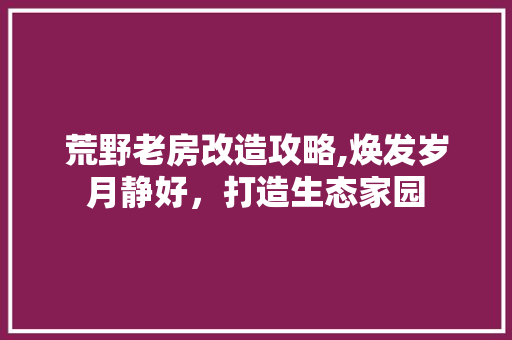 荒野老房改造攻略,焕发岁月静好，打造生态家园