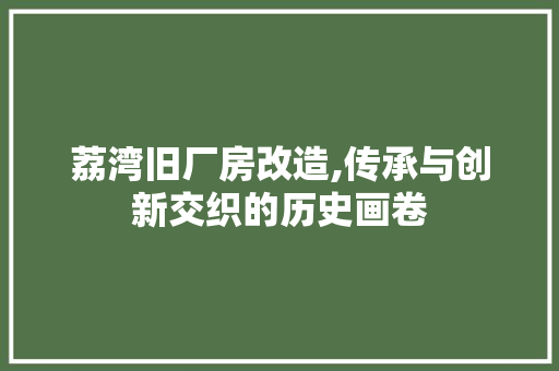 荔湾旧厂房改造,传承与创新交织的历史画卷