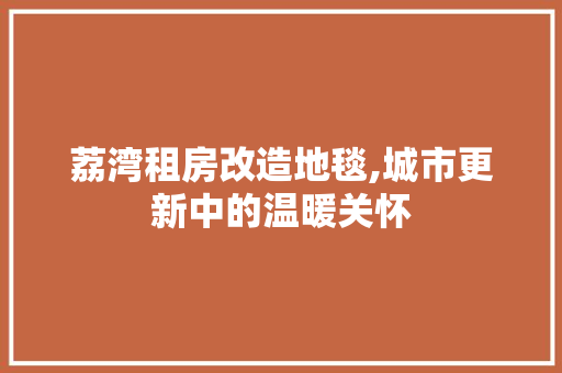荔湾租房改造地毯,城市更新中的温暖关怀
