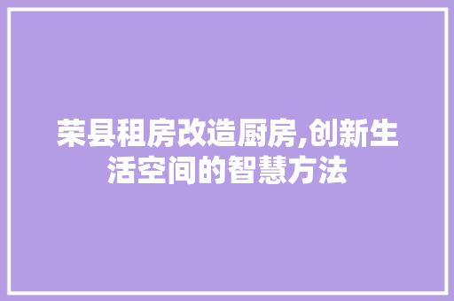 荣县租房改造厨房,创新生活空间的智慧方法