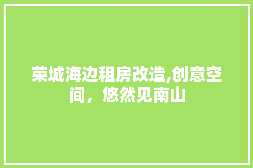 荣城海边租房改造,创意空间，悠然见南山
