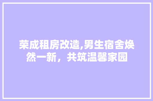 荣成租房改造,男生宿舍焕然一新，共筑温馨家园