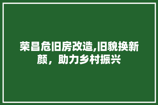 荣昌危旧房改造,旧貌换新颜，助力乡村振兴 墙体维修