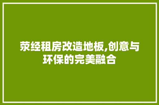 荥经租房改造地板,创意与环保的完美融合