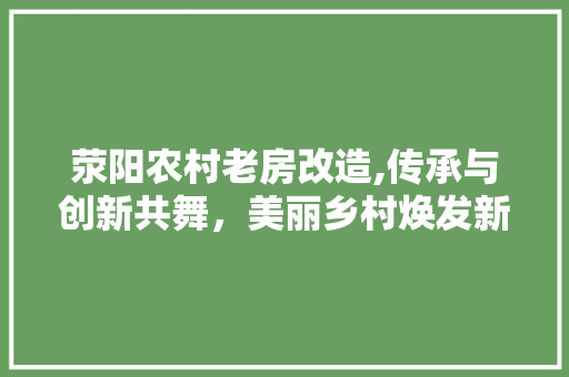荥阳农村老房改造,传承与创新共舞，美丽乡村焕发新颜