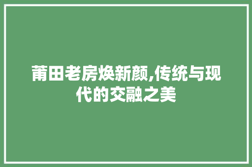 莆田老房焕新颜,传统与现代的交融之美