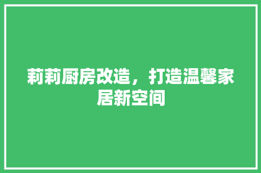 莉莉厨房改造，打造温馨家居新空间