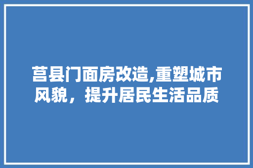莒县门面房改造,重塑城市风貌，提升居民生活品质