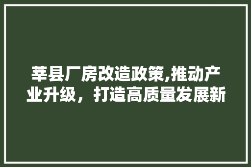 莘县厂房改造政策,推动产业升级，打造高质量发展新引擎 墙体维修