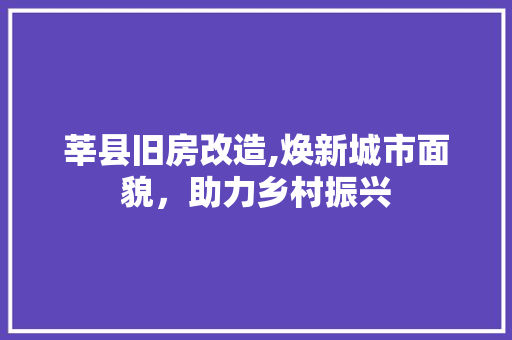 莘县旧房改造,焕新城市面貌，助力乡村振兴