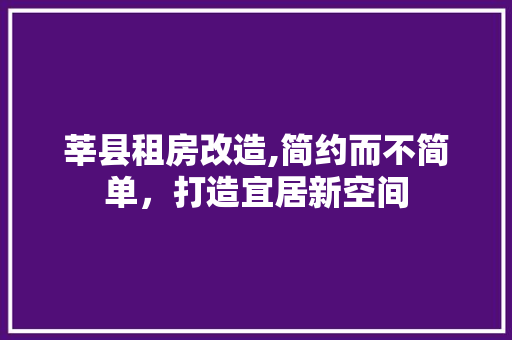 莘县租房改造,简约而不简单，打造宜居新空间 墙体维修