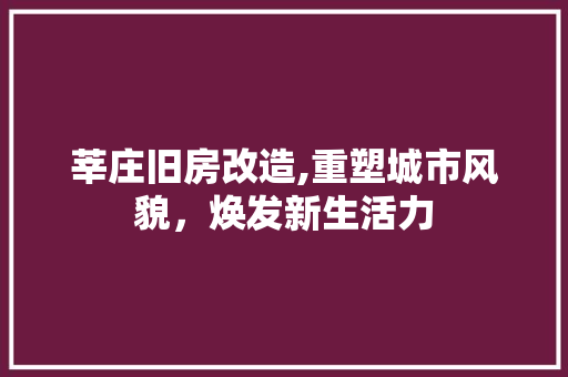 莘庄旧房改造,重塑城市风貌，焕发新生活力 汽车维修