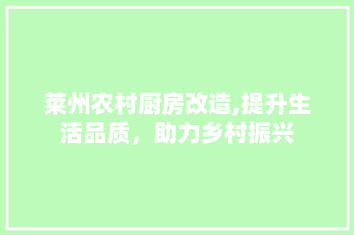 莱州农村厨房改造,提升生活品质，助力乡村振兴