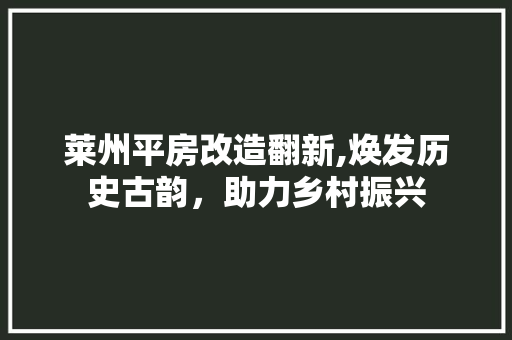 莱州平房改造翻新,焕发历史古韵，助力乡村振兴