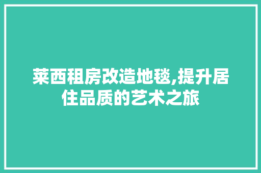 莱西租房改造地毯,提升居住品质的艺术之旅