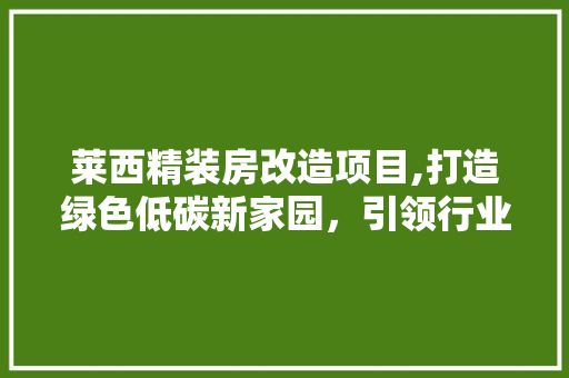 莱西精装房改造项目,打造绿色低碳新家园，引领行业发展新潮流 厨房维修