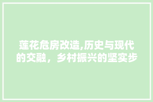 莲花危房改造,历史与现代的交融，乡村振兴的坚实步伐