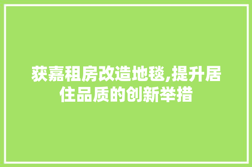 获嘉租房改造地毯,提升居住品质的创新举措