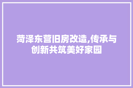 菏泽东营旧房改造,传承与创新共筑美好家园