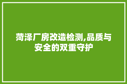 菏泽厂房改造检测,品质与安全的双重守护