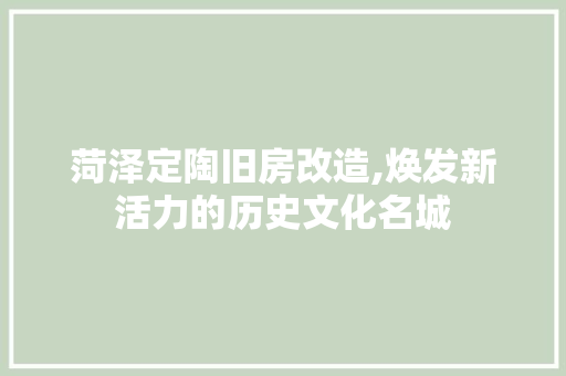 菏泽定陶旧房改造,焕发新活力的历史文化名城
