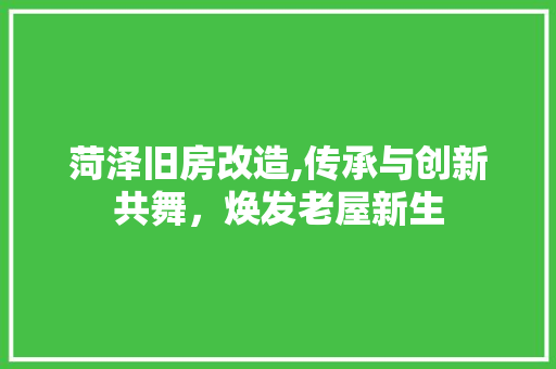 菏泽旧房改造,传承与创新共舞，焕发老屋新生